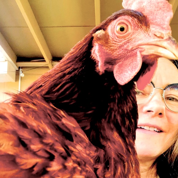 Meet your Posher, Chris - Picture 1 of 6